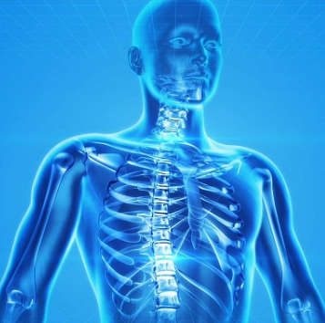Osteoporose: sintomas, cuidados e prevenção